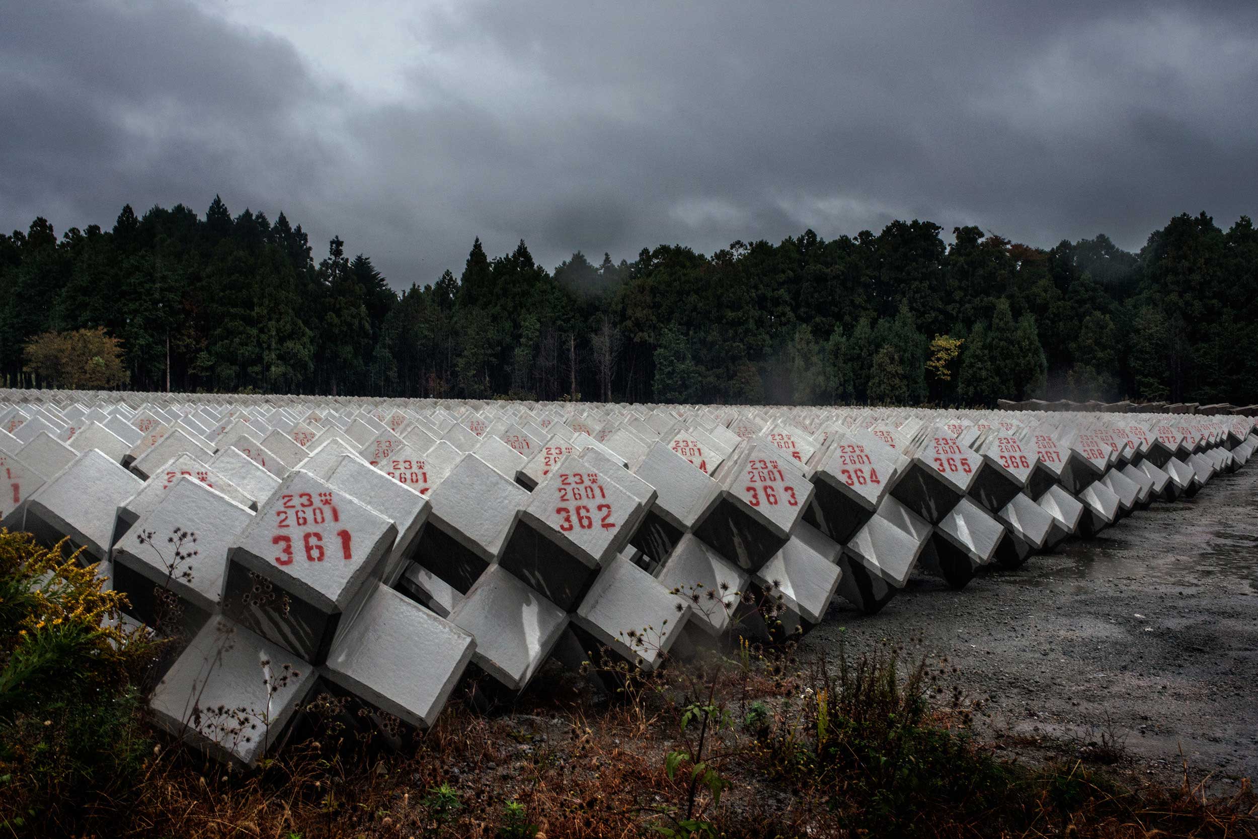 Fukushima, Giappone, visual journalism, matteo moretti, emanuele satolli, alessia cerantola, terremoto, tsunami, nucleare